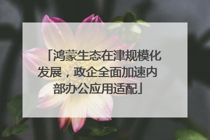 鸿蒙生态在津规模化发展，政企全面加速内部办公应用适配