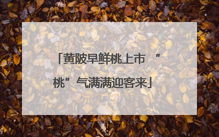 黄陂早鲜桃上市 “桃”气满满迎客来