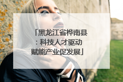 黑龙江省桦南县：科技人才驱动 赋能产业促发展