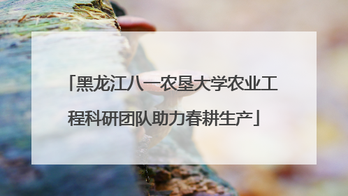 黑龙江八一农垦大学农业工程科研团队助力春耕生产