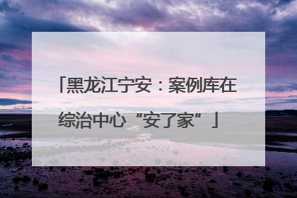 黑龙江宁安：案例库在综治中心“安了家”