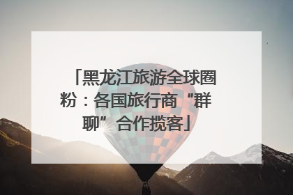 黑龙江旅游全球圈粉：各国旅行商“群聊”合作揽客