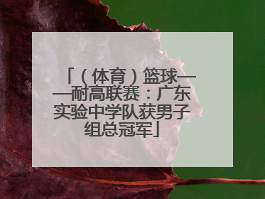 （体育）篮球——耐高联赛：广东实验中学队获男子组总冠军