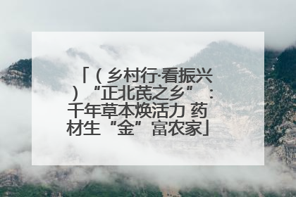 （乡村行·看振兴）“正北芪之乡”：千年草本焕活力 药材生“金”富农家