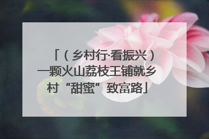（乡村行·看振兴）一颗火山荔枝王铺就乡村“甜蜜”致富路
