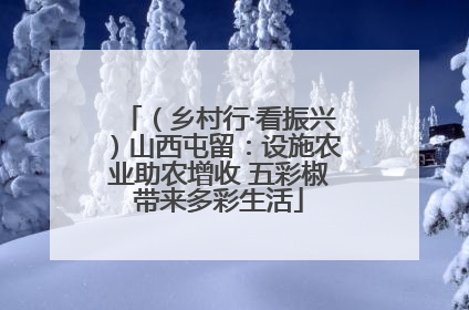 （乡村行·看振兴）山西屯留：设施农业助农增收 五彩椒带来多彩生活