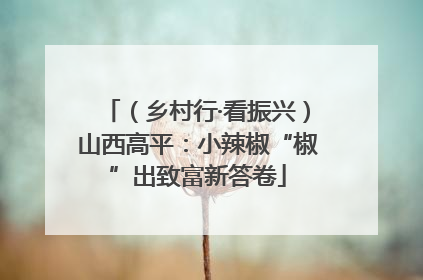 （乡村行·看振兴）山西高平：小辣椒“椒”出致富新答卷