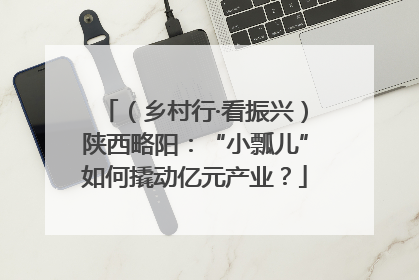 （乡村行·看振兴）陕西略阳：“小瓢儿”如何撬动亿元产业？
