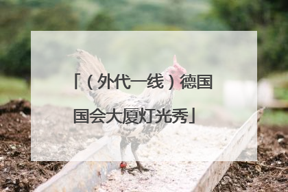 （外代一线）德国国会大厦灯光秀