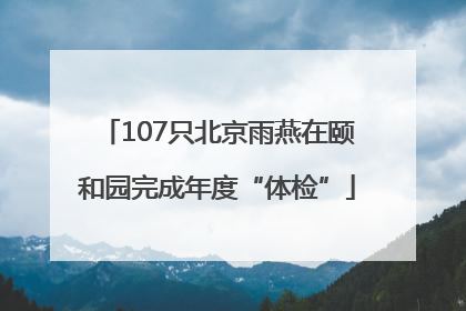 107只北京雨燕在颐和园完成年度“体检”