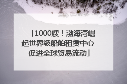 1000艘！渤海湾崛起世界级船舶租赁中心 促进全球贸易流动