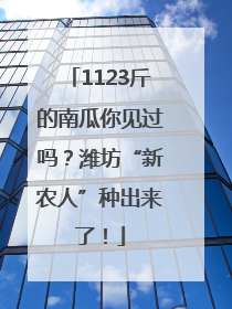 1123斤的南瓜你见过吗？潍坊“新农人”种出来了！