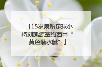 15岁泉籍足球小将刘凯源签约西甲“黄色潜水艇”