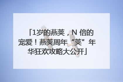 1岁的燕荚，N 倍的宠爱！燕荚周年“荚”年华狂欢攻略大公开
