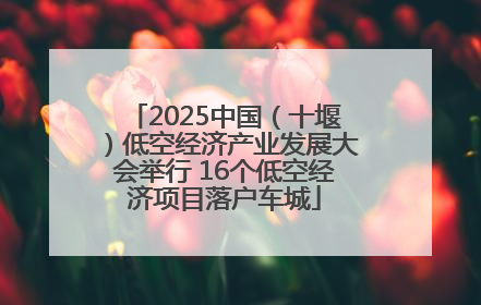 2025中国（十堰）低空经济产业发展大会举行 16个低空经济项目落户车城