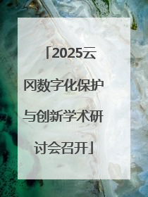 2025云冈数字化保护与创新学术研讨会召开