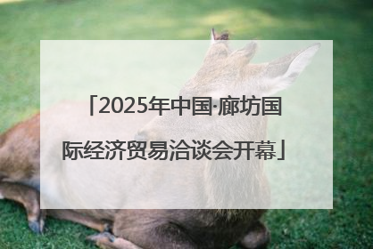 2025年中国·廊坊国际经济贸易洽谈会开幕