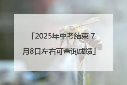 2025年中考结束 7月8日左右可查询成绩