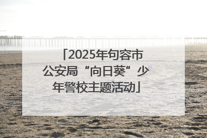 2025年句容市公安局“向日葵”少年警校主题活动