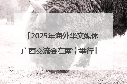 2025年海外华文媒体广西交流会在南宁举行