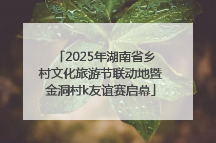 2025年湖南省乡村文化旅游节联动地暨金洞村k友谊赛启幕