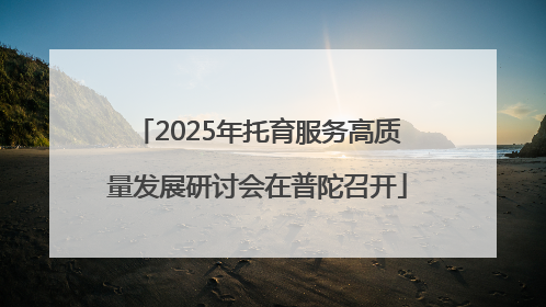2025年托育服务高质量发展研讨会在普陀召开