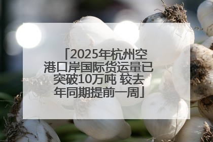 2025年杭州空港口岸国际货运量已突破10万吨 较去年同期提前一周
