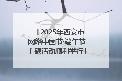 2025年西安市网络中国节·端午节主题活动顺利举行