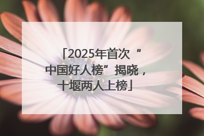 2025年首次“中国好人榜”揭晓，十堰两人上榜