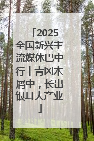 2025全国新兴主流媒体巴中行丨青冈木屑中，长出银耳大产业