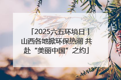 2025六五环境日丨山西各地掀环保热潮 共赴“美丽中国”之约