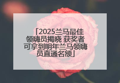 2025兰马最佳领嗨员揭晓 获奖者可拿到明年兰马领嗨员直通名额