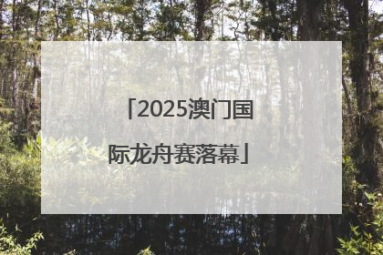 2025澳门国际龙舟赛落幕