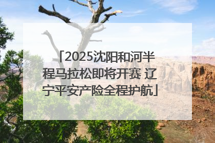 2025沈阳和河半程马拉松即将开赛 辽宁平安产险全程护航