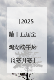 2025第十五届金鸡湖端午龙舟赛开赛