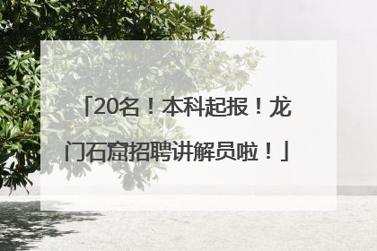 20名！本科起报！龙门石窟招聘讲解员啦！