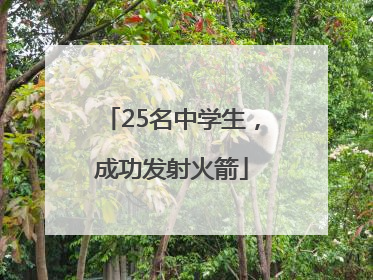 25名中学生，成功发射火箭