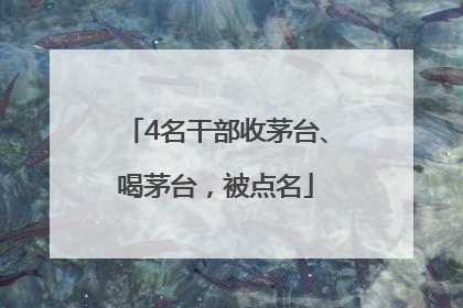 4名干部收茅台、喝茅台，被点名