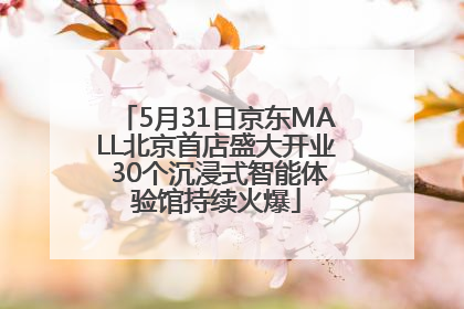 5月31日京东MALL北京首店盛大开业 30个沉浸式智能体验馆持续火爆