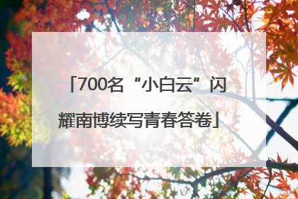 700名“小白云”闪耀南博续写青春答卷