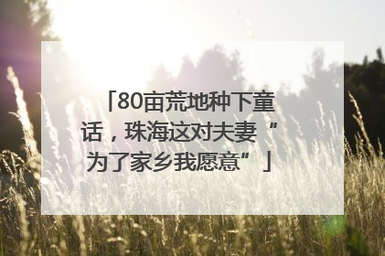80亩荒地种下童话，珠海这对夫妻“为了家乡我愿意”