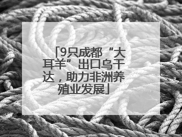 9只成都“大耳羊”出口乌干达，助力非洲养殖业发展