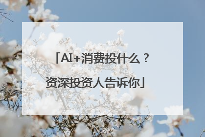 AI+消费投什么？资深投资人告诉你