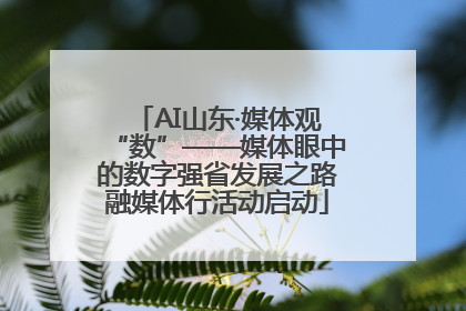 AI山东·媒体观“数”——媒体眼中的数字强省发展之路融媒体行活动启动