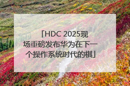 HDC 2025现场重磅发布华为在下一个操作系统时代的棋